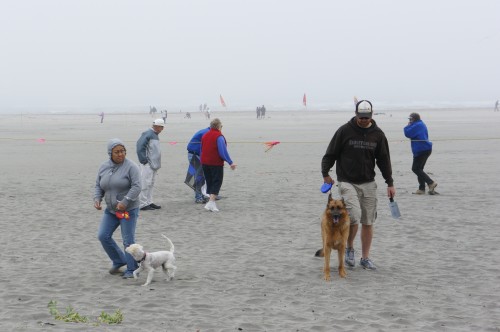 Kite Festival - Long Beach, WA