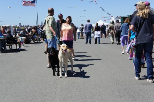 Kite Festival - Long Beach, WA