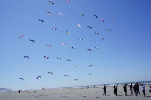 Kites in formation - Long Beach, WA