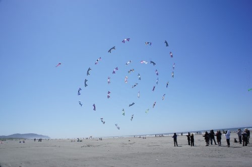 Kites in formation - Long Beach, WA