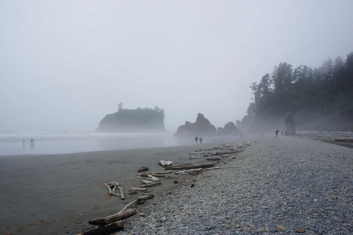 Ruby Beach - Washington State Olympics