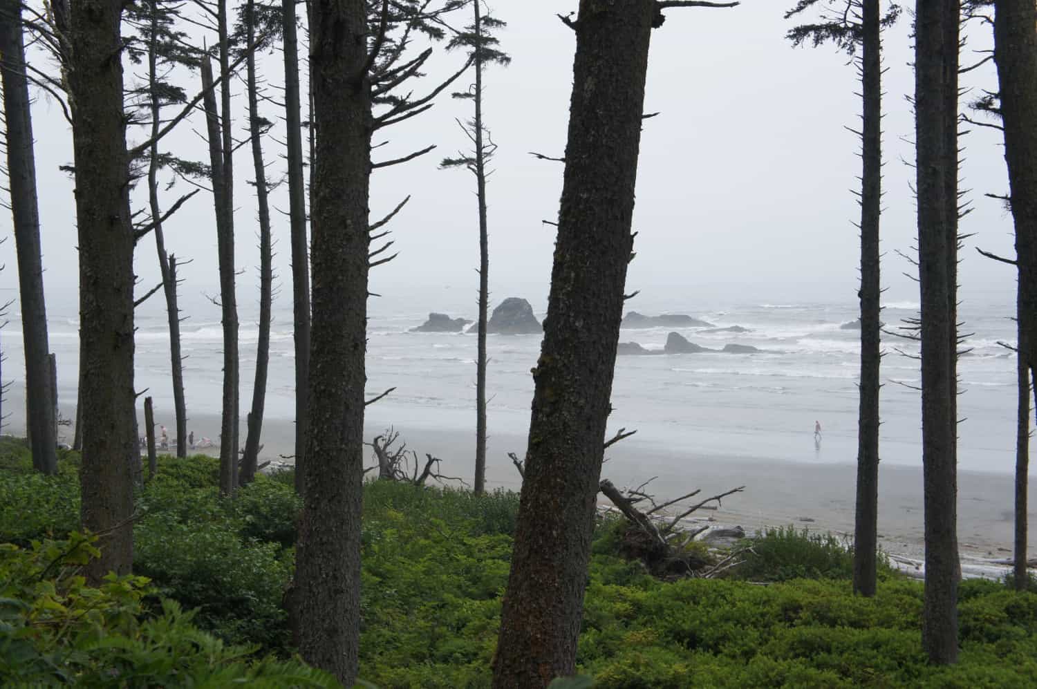 Ruby Beach - Washington State Olympics