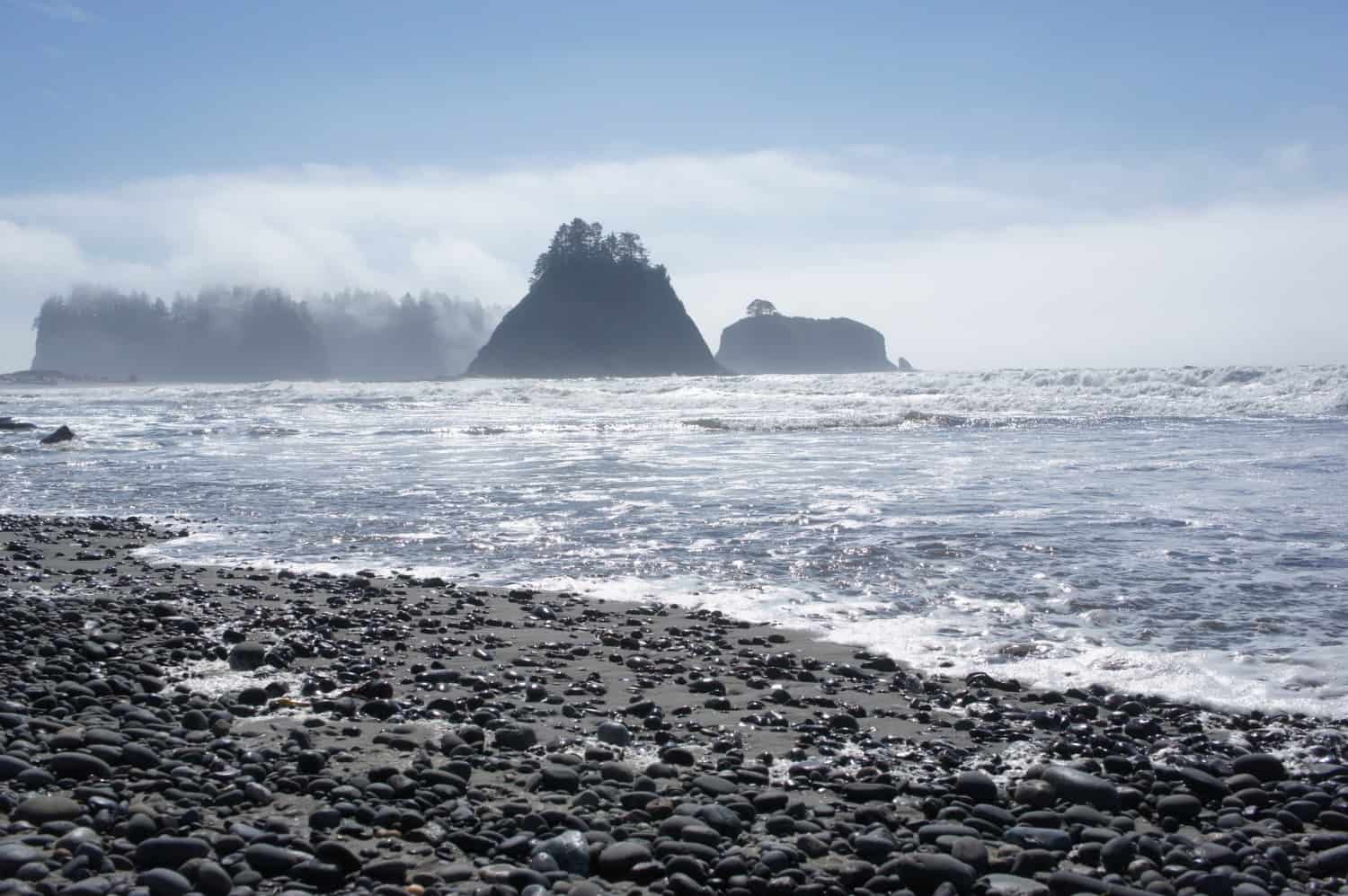 Dog Friendly Rialto Beach - Olympic Peninsula, Washington