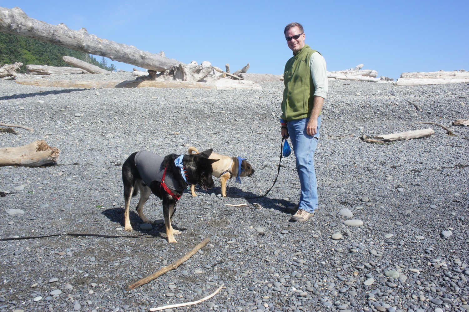 Rialto Beach - Olympic, WA