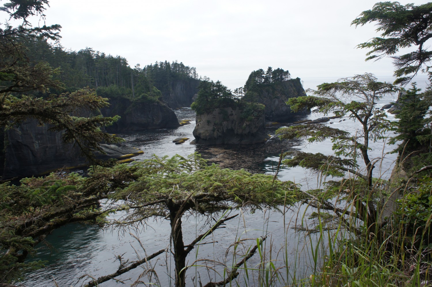 Cape Flattery, Olympic Peninsula, Washington