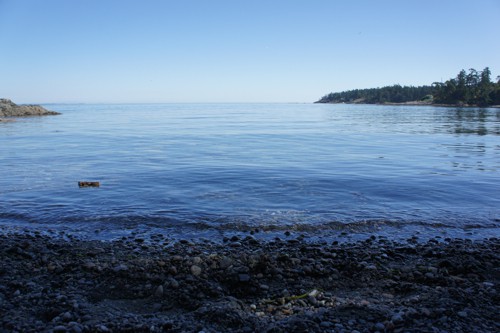 Arbutus Cove Park - Victoria, BC