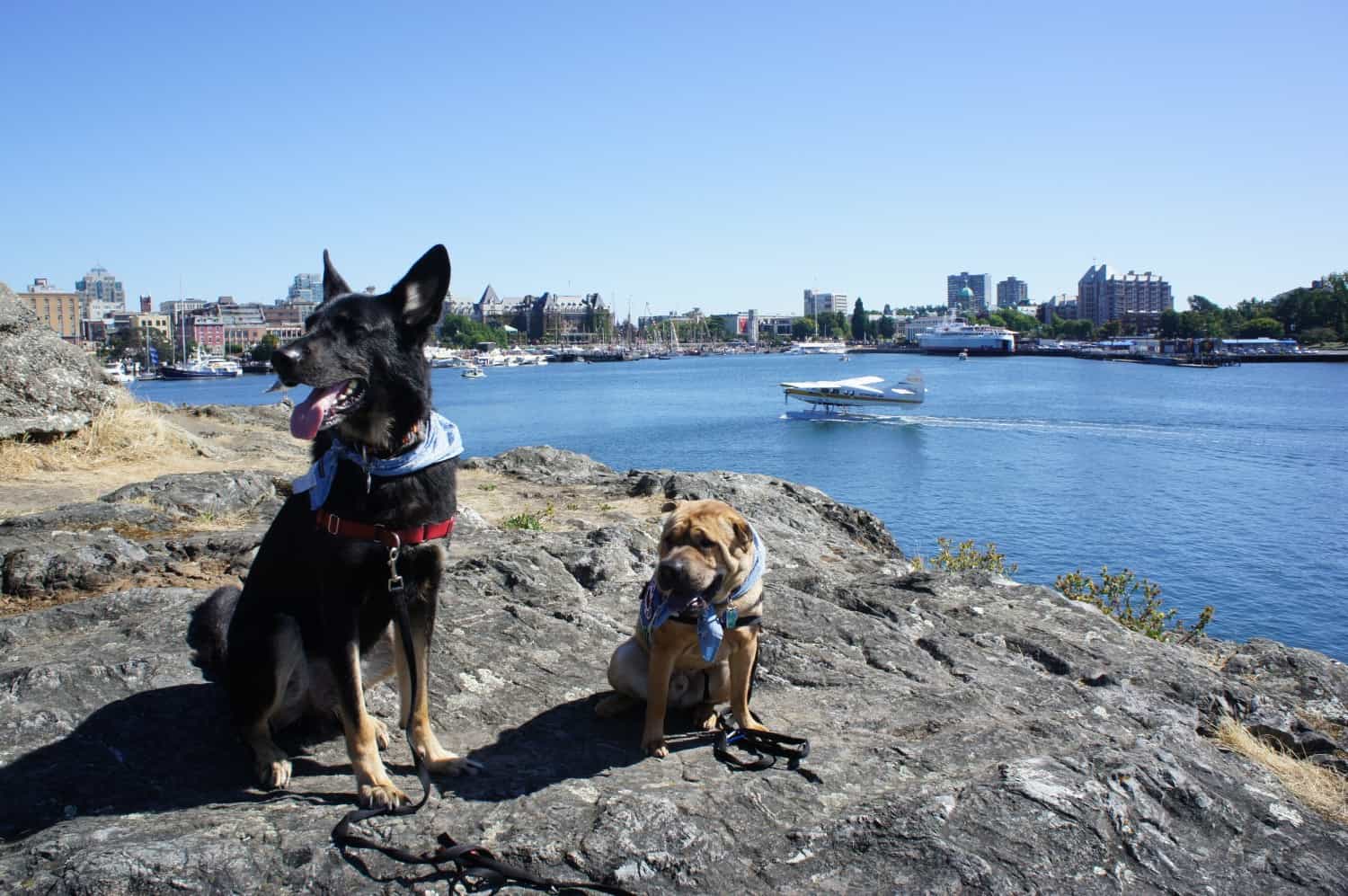 Along the Walkway - Victoria, BC