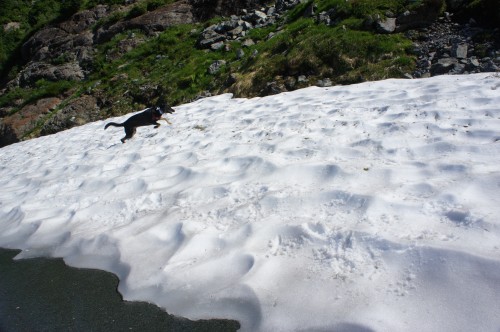 Mount Baker, WA