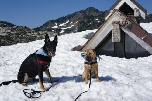 Mount Baker, WA