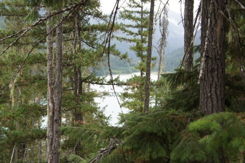 Thunder Knob Trail - Northern Cascades, WA