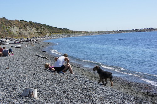 Dallas Road Beach - Victoria, BC