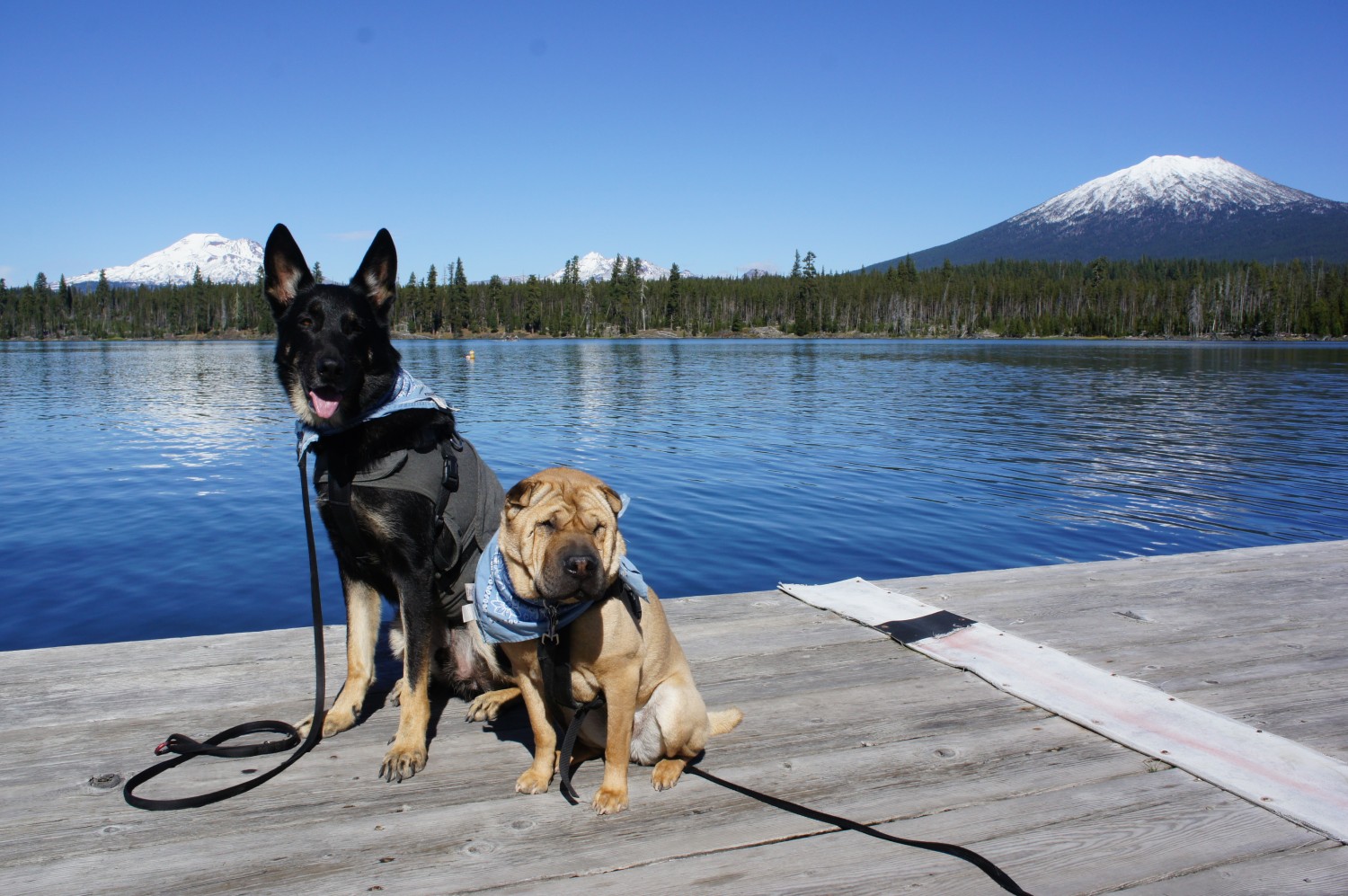 Ty and Buster on Cascade Lakes Scenic Byway - Bend, OR