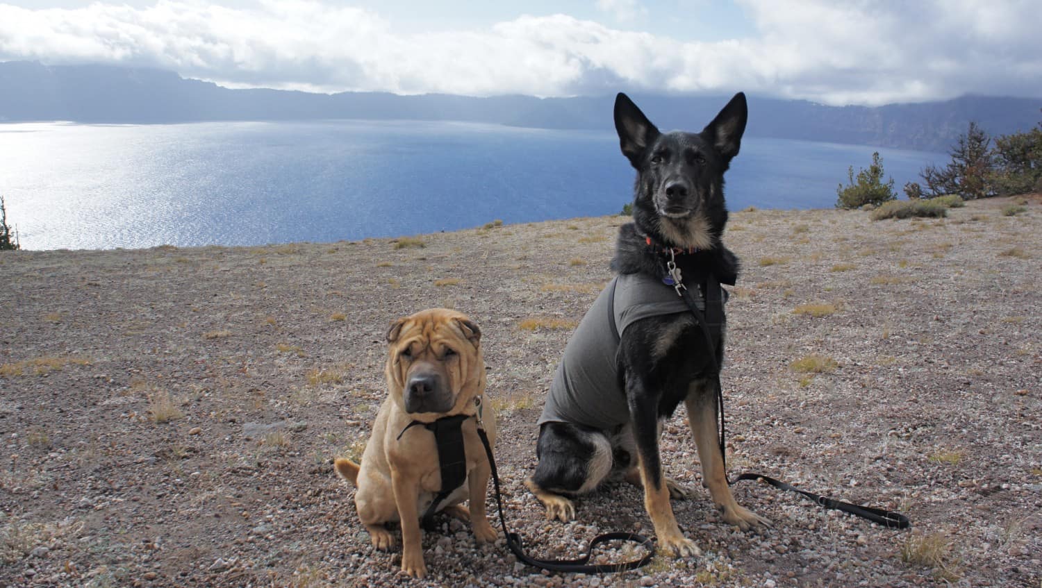 Ty and Buster at the Deepest Lake in the US