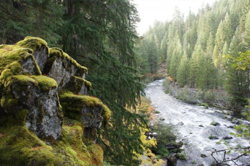 Rogue River Gorge, Oregon