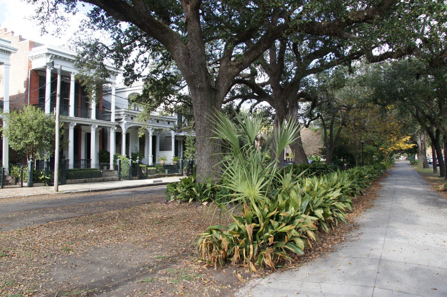 Garden District - New Orleans, LA