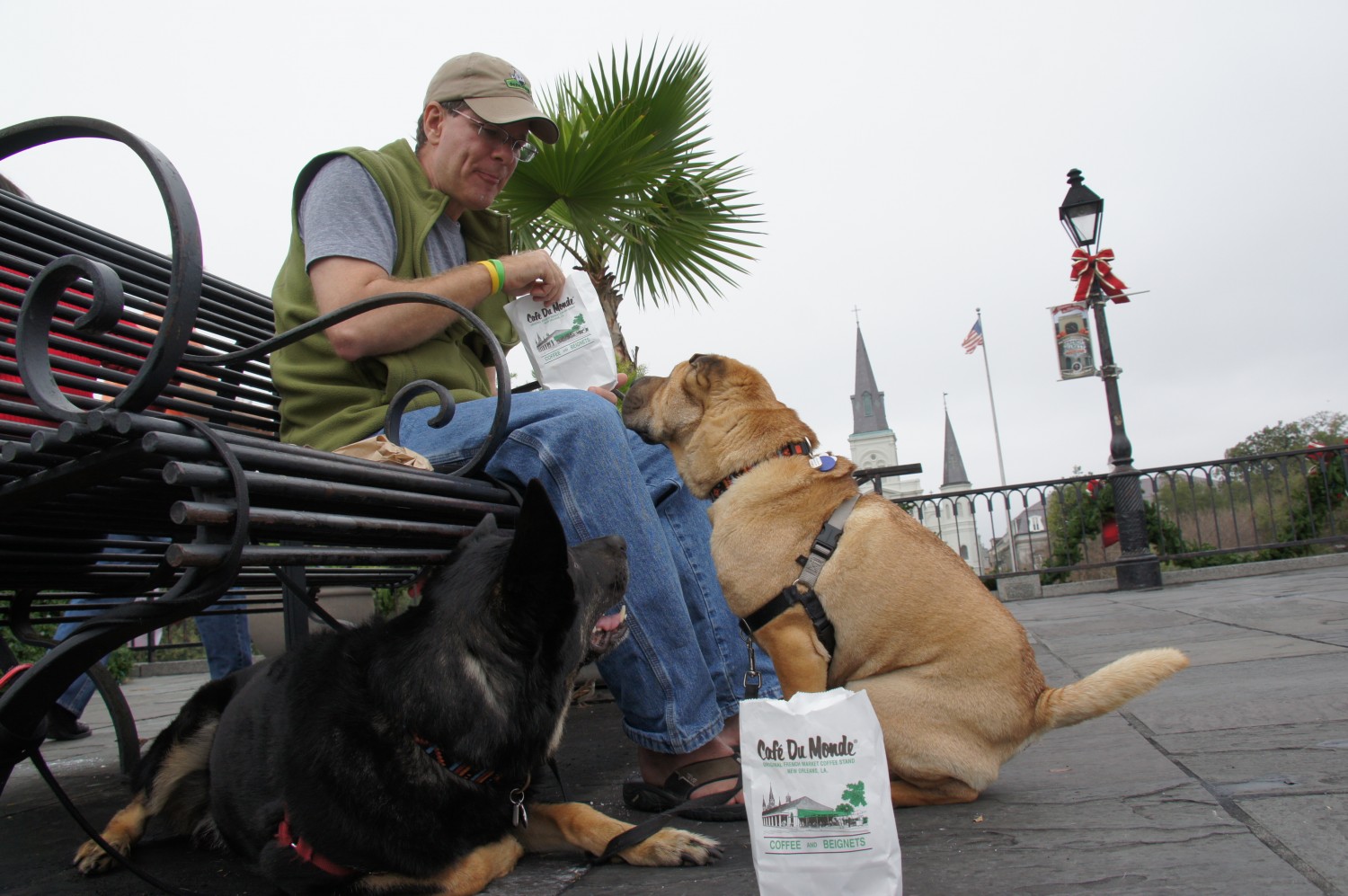 Pet Friendly New Orleans Things To