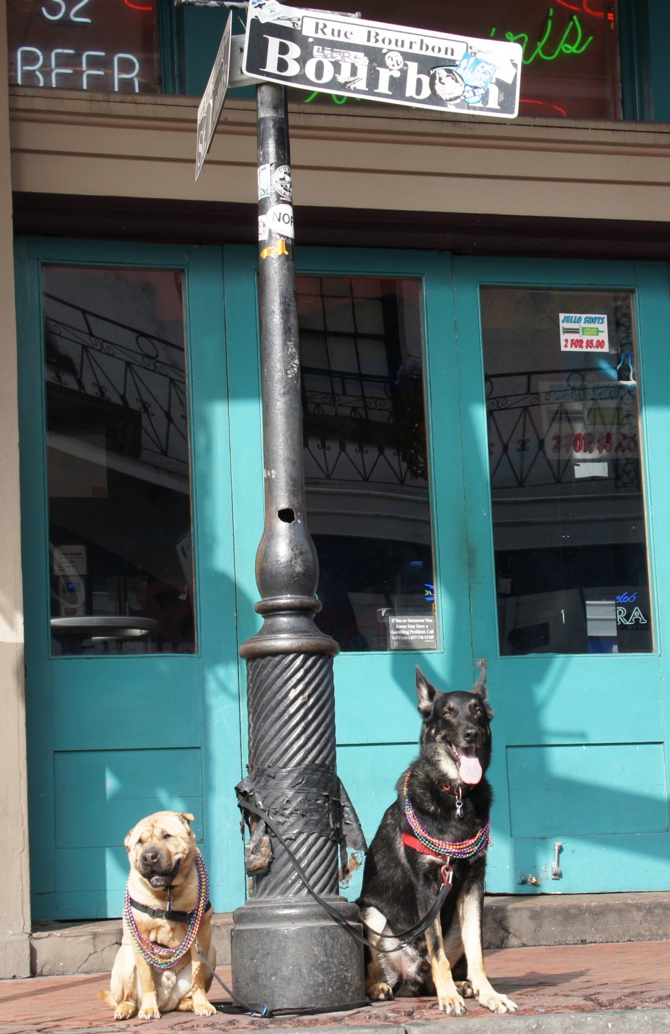 Ty and Buster on Bourbon Street - New Orleans, LA