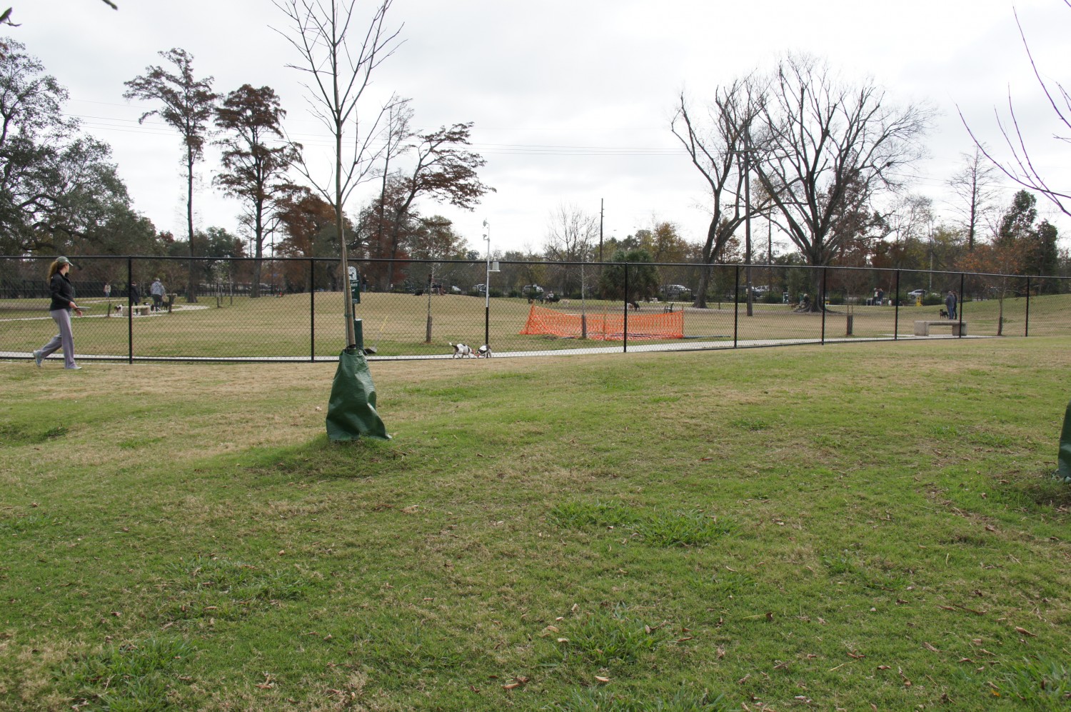 City Park Dog Park - New Orleans, LA