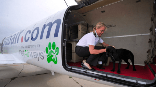 Pet Airways Image