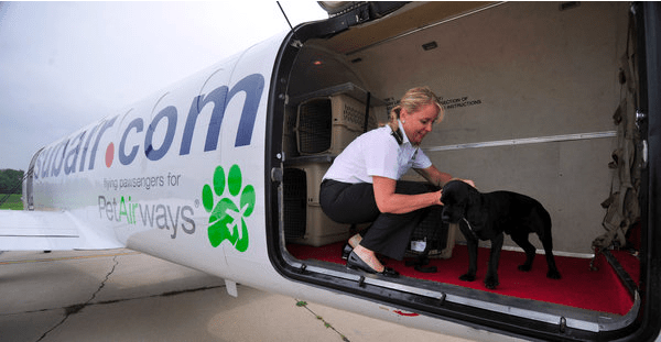 Pet Airways Image