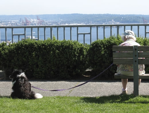 Seattle Park Bench