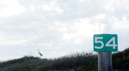 Beach - Mustang Island, TX