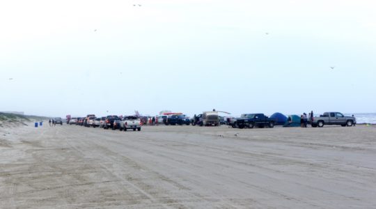 Beach - Mustang Island, TX