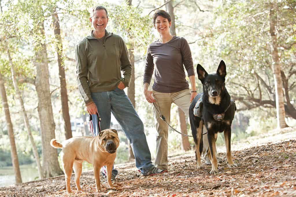 GoPetFriendly.com Team