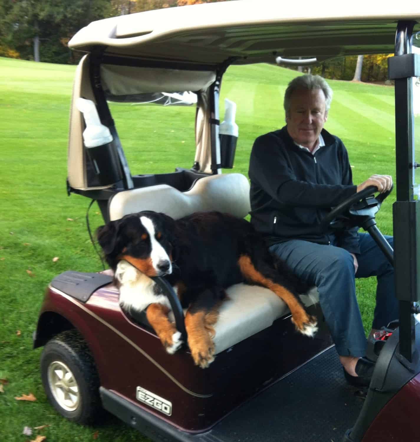 Golf Dogs 1