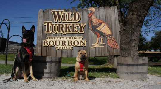 Wild Turkey Distillery