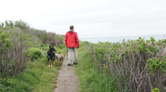 Dog Friendly Cliff Walk - Newport, RI