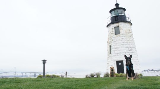 Goat Island - Newport, RI