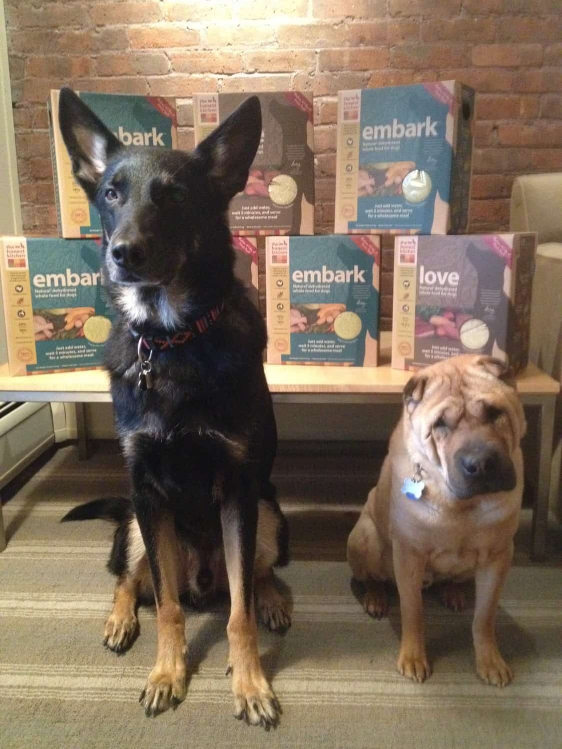 Buster and Ty with The Honest Kitchen Food