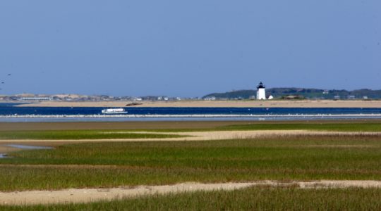 Provincetown, MA