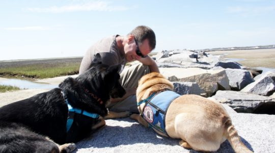 Buster, Rod and Ty - Provincetown, MA