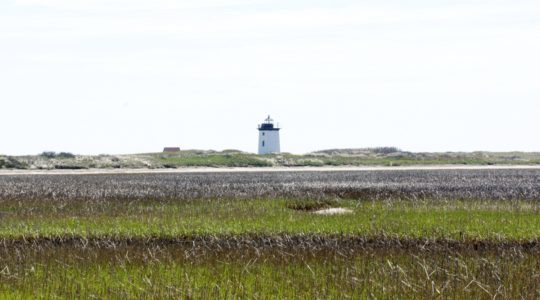 Provincetown, MA