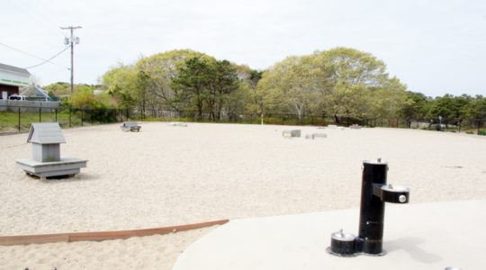 Dog Park - Provincetown, MA