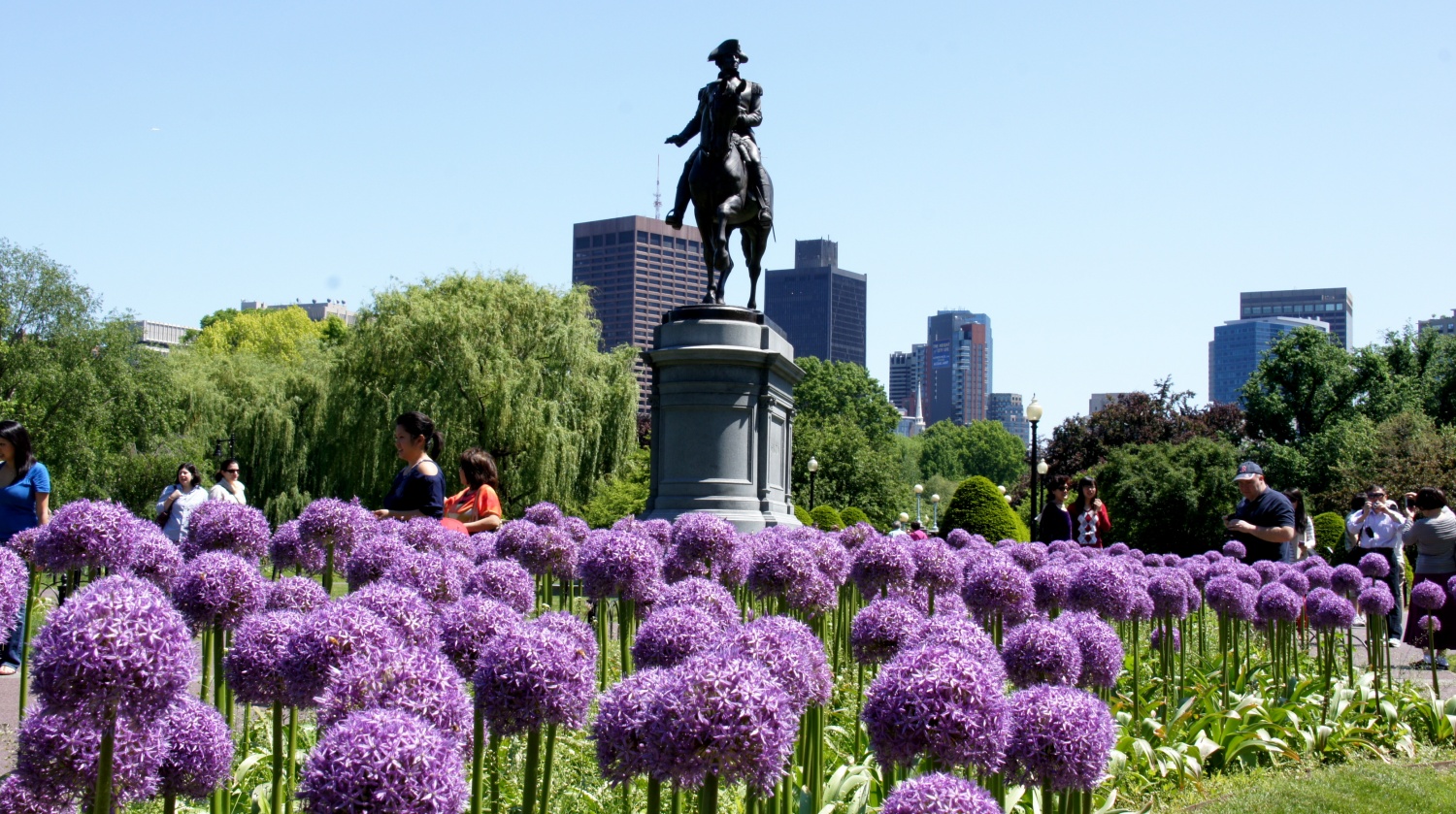 Boston Commons - Boston, MA