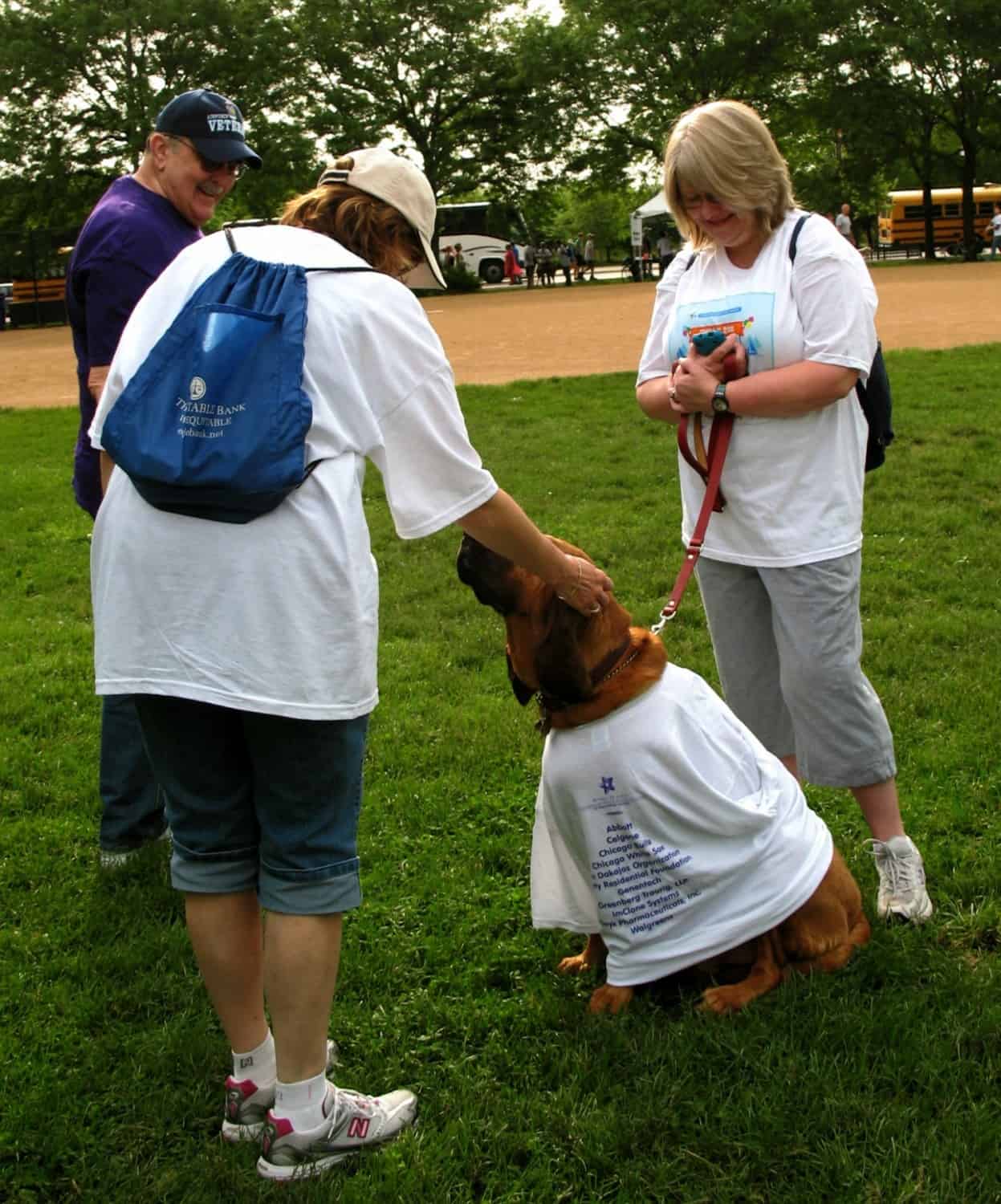 Dogs in Grant Park - Chicago, IL
