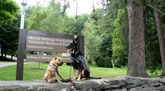 Marsh-Billings-Rockefeller Park - Woodstock, VT