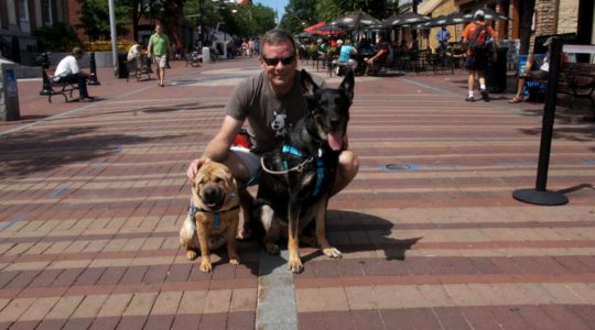 Pet Friendly Church Street - Burlington, VT