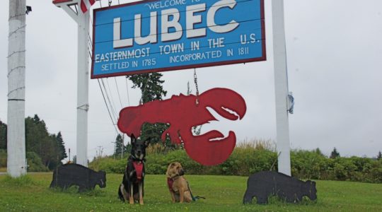 Buster and Ty - Lubec, ME