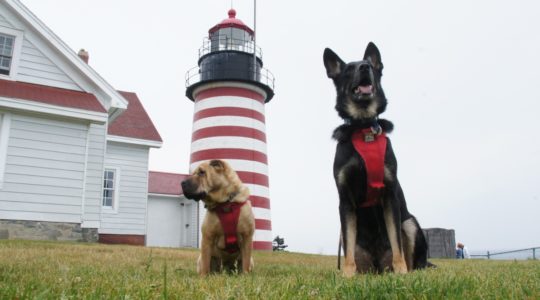 Quoddy Head Light House - Lubec, ME