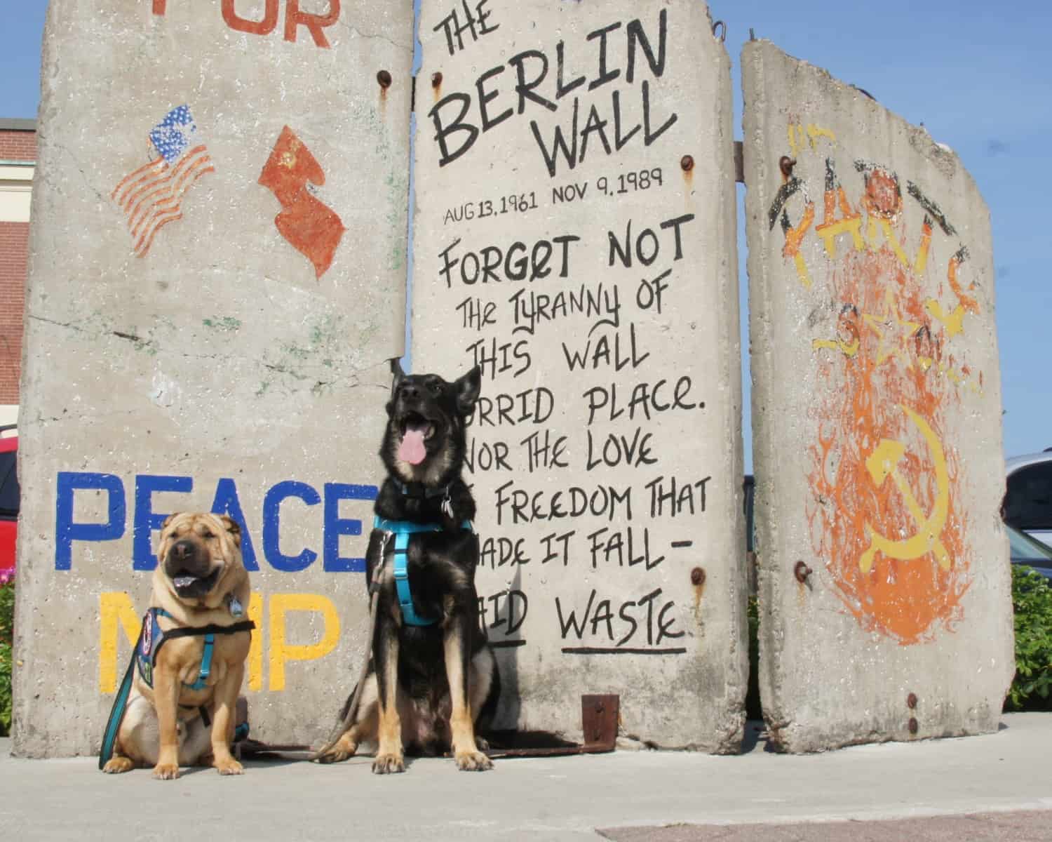 Ty and Buster at Berlin Wall - Portland, ME