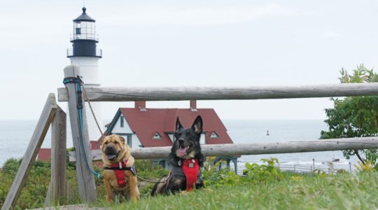 Portland Head - Portland, ME