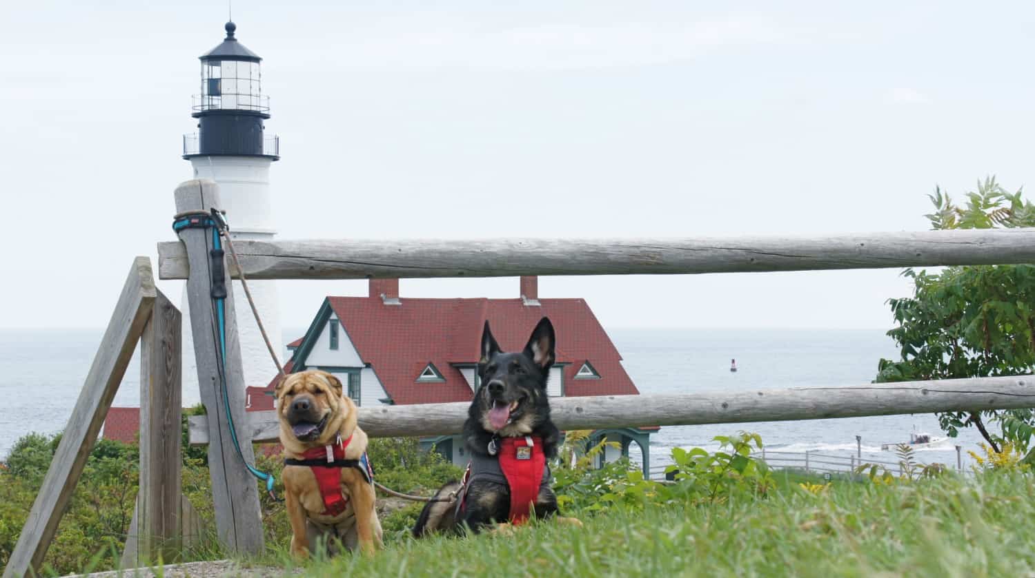 Ty and Buster at Portland Head - Portland, ME