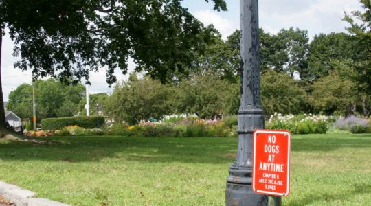 Prescott Park - Portsmouth, NH