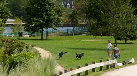 Buster at Pierce Island - Portsmouth, NH