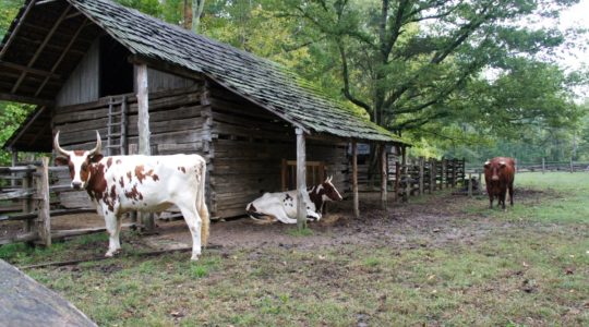 Land Between the Lakes, KY