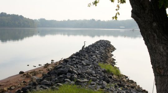 Prizer Point KOA - Land Between The Lakes, KY